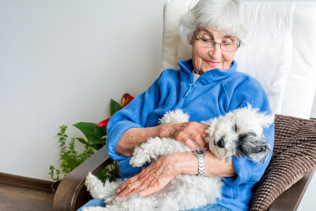Pets-Allowed-in-Assisted-Living-Facilities Pets Allowed in Assisted Living Facilities