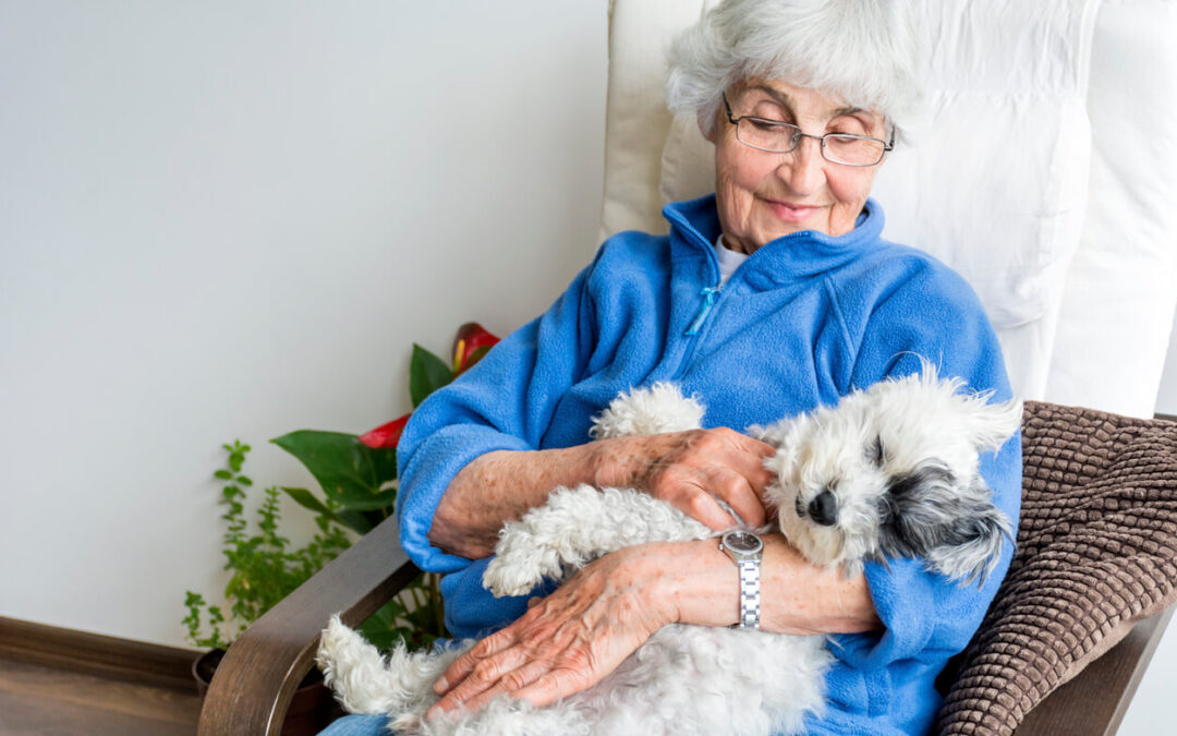 Are Pets Allowed in Assisted Living Facilities?